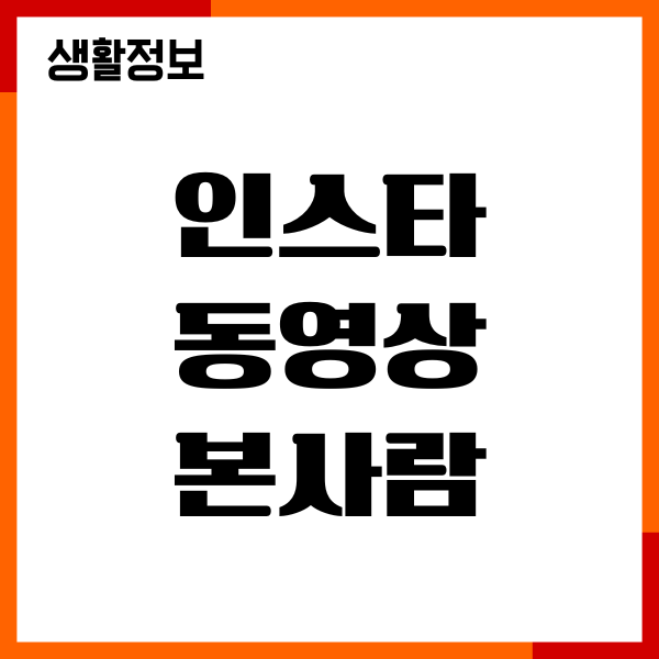 인스타 동영상 본사람 조회 확인, 누구인지 찾는 방법