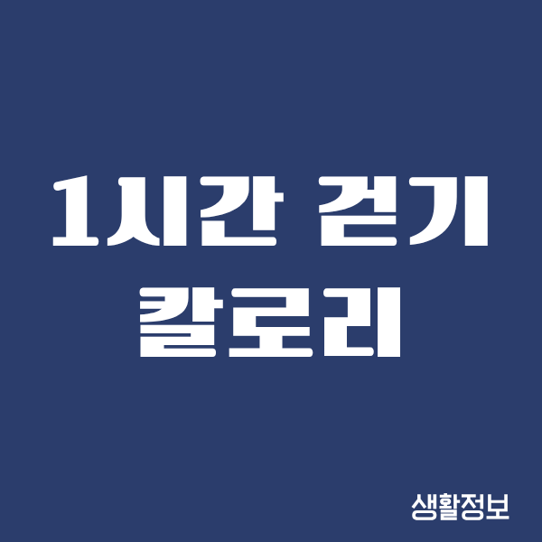 1시간 걷기 칼로리, 제가 직접 걸어보니 이렇게 바뀌더라고요