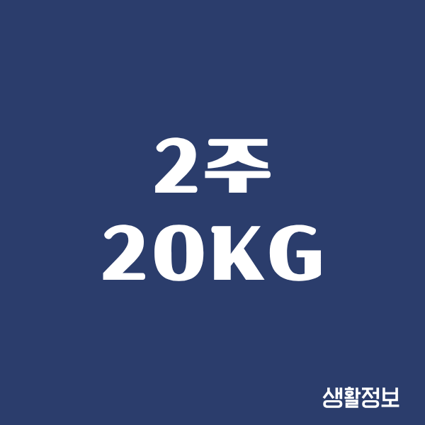 2주 20kg, 제가 실제로 겪은 다이어트 이야기