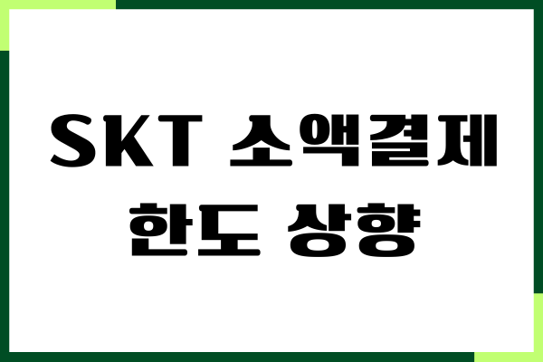 SKT 소액결제 한도 상향, 변경, 차단 방법 주의사항