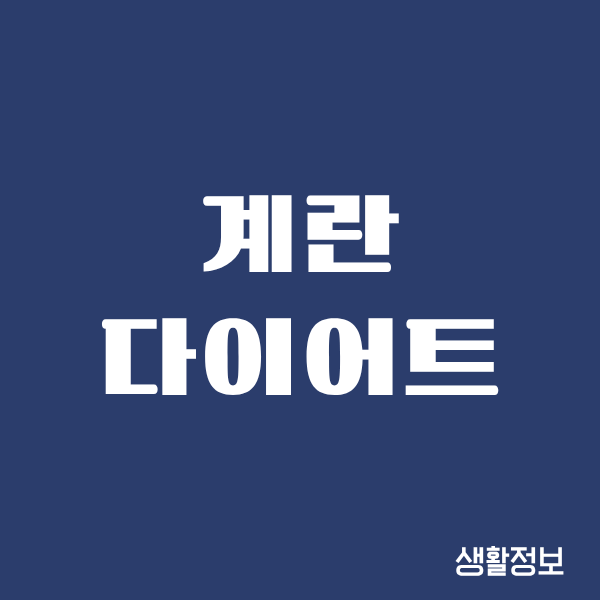 계란 다이어트 한달, 제가 직접 해보고 느낀 리얼 후기