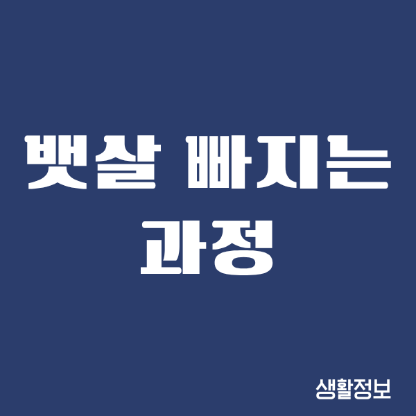 뱃살 빠지는 과정, 직접 겪어보니까 이렇게 바뀌더라고요