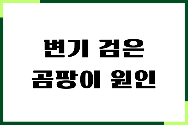 변기 검은 곰팡이 원인, 제거하기, 냄새 없애기, 해결 방법