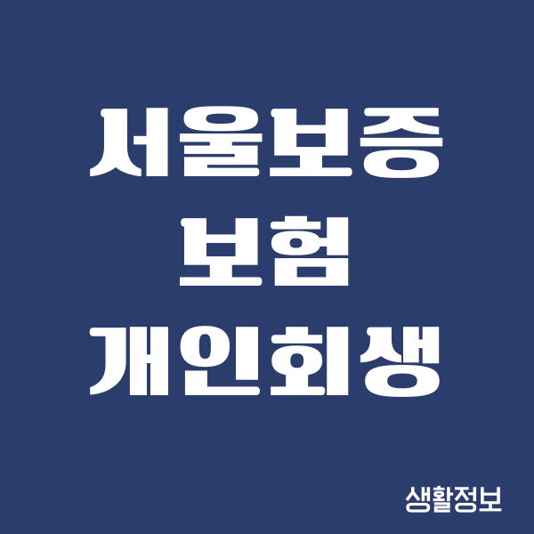 서울보증보험 개인회생, 대출 가능 여부, 신청 승인 부결 후기