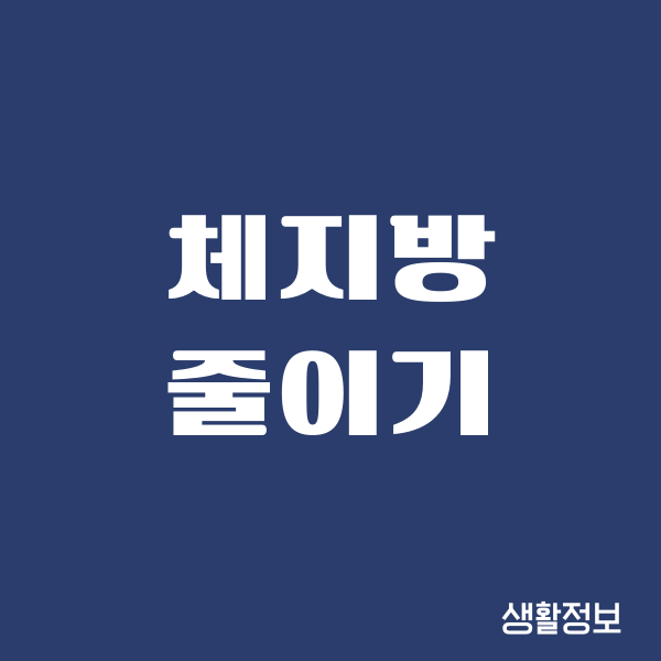 체지방 줄이기, 40대에 진짜 성공해본 리얼 후기