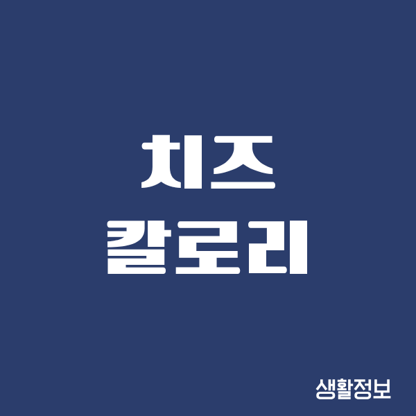 치즈 칼로리, 알고 먹으니 다이어트가 쉬워지더라