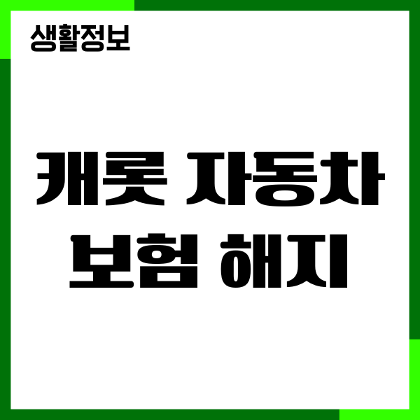 캐롯 자동차보험 해지 방법, 환급금 조회, 고객센터