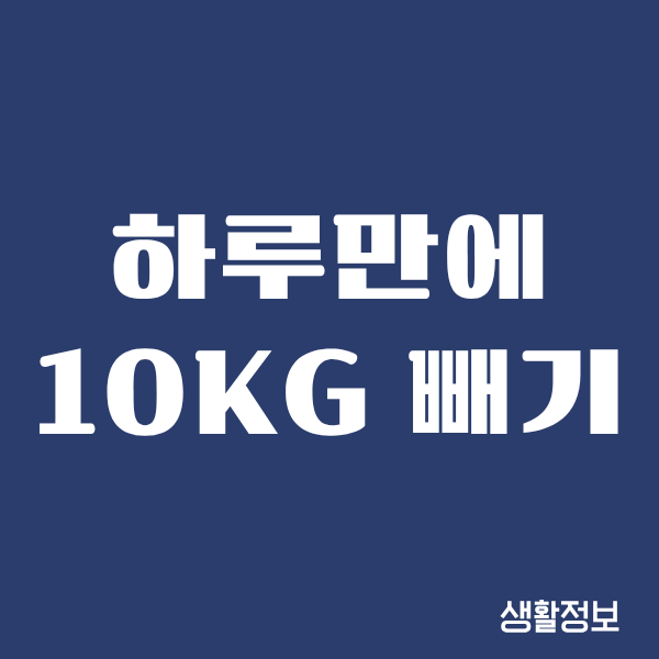 하루만에 10kg 빼기, 정말 될까 리얼 후기